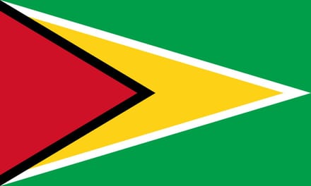 Vlag Guyana 30x45cm