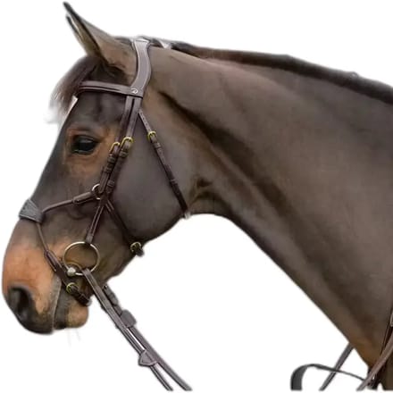 Anatomisch elastisch gecombineerde muserol teugel Dy'on Hybride