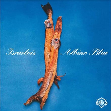 Albino Blue