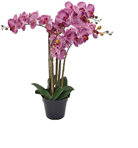 Kunst Phalaenopsis Orchidee In Pot x5 60 cm - Tiger Cerise