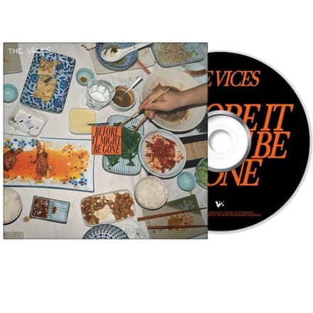 The Vices CD - Before it Might be Gone - voor Geen - standaard