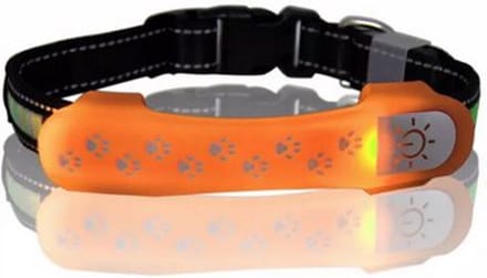 LED verlichting voor om de hondenhalsband