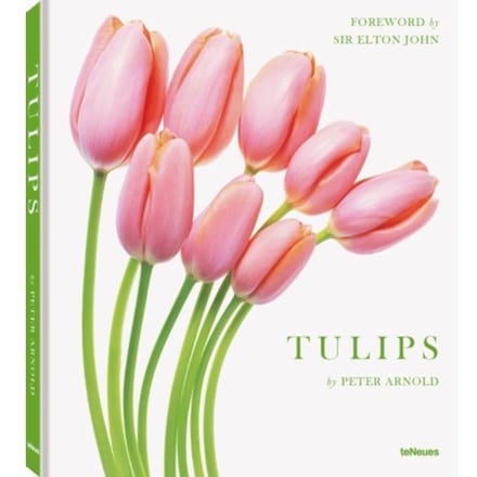 Tulips - Peter Arnold