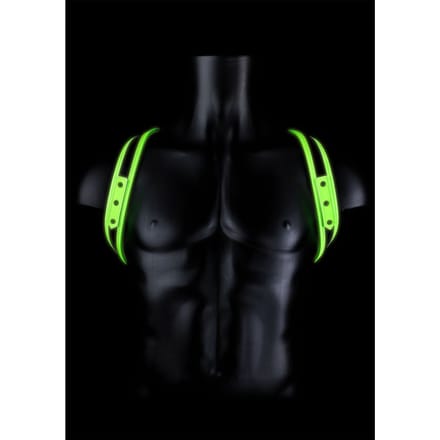 Glow in the Dark - Basic Harnas