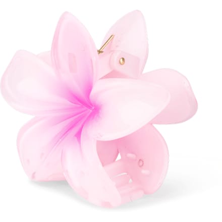 Sui Ava Plumeria Hawaii Big Pink 1 st