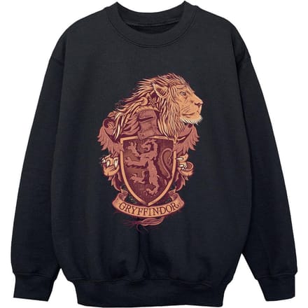 Harry Potter Jongens Gryffindor Schets Crest Sweatshirt (Zwart)
