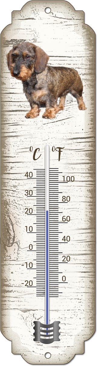 Thermometer: Ruwharige tekkel | Hondenras | Temperatuur binnen en buiten | -25 tot +45C
