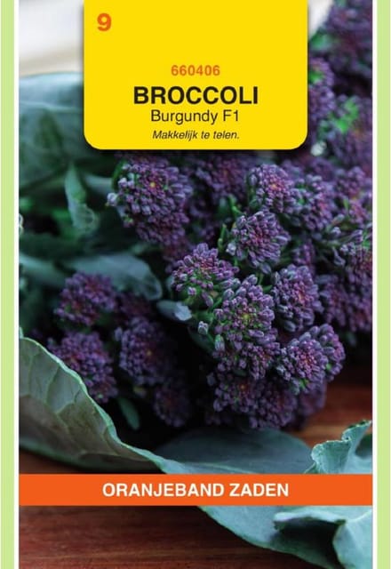 Oranjeband Zaden - Sprouting Broccoli Burgundy F1