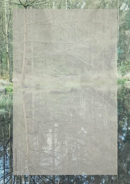 Briefpapier 24 vellen - Bosven - Meer Leuks - A4 formaat - Postpapier
