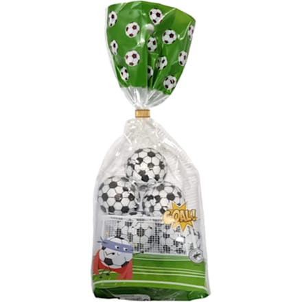 Voetballen in zak