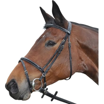 Hoofdstellen Privilège Equitation Nice