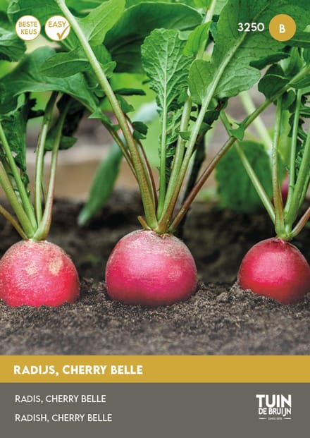 Tuin de Bruijn Radijs Cherry Belle – 5 g – Snelgroeiend