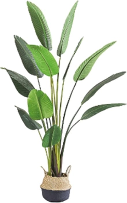 Kunstplant Blad Strelitzia Soft - 120 cm