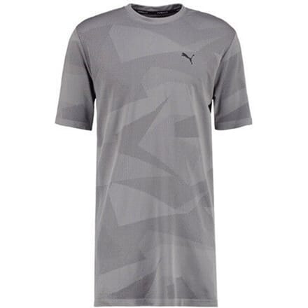 Puma Evo Knit Image Tee Grafisch Grijs Heren Lang Stijl T-shirt Top 572454 04 A6D