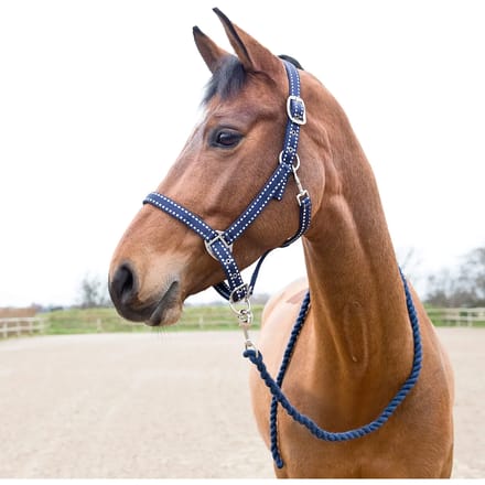 Halster en touwset voor paarden Horze Cooper