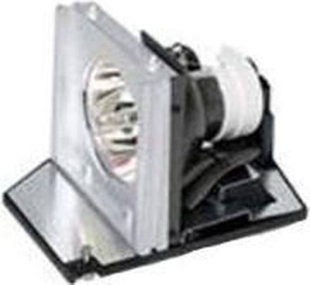 Acer EC.K2700.001 vervangings- lamp voor P7500