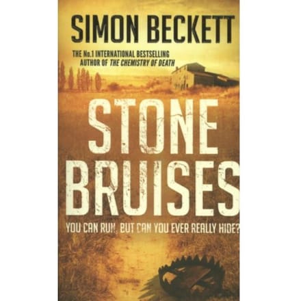Stone Bruises - Simon Beckett