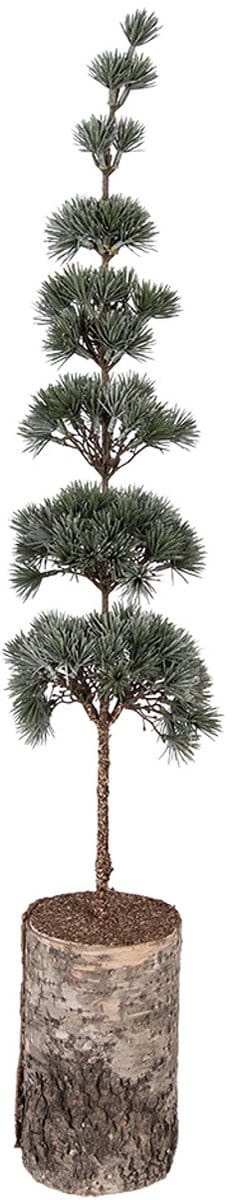 Clayre & Eef Mini Kunstkerstboom 15x15x80 cm Groen Hout