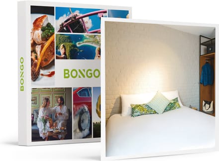 Bongo Bon -2 Dagen In Het 3-sterren Ibis Brussels Centre Châtelain- Cadeaukaart