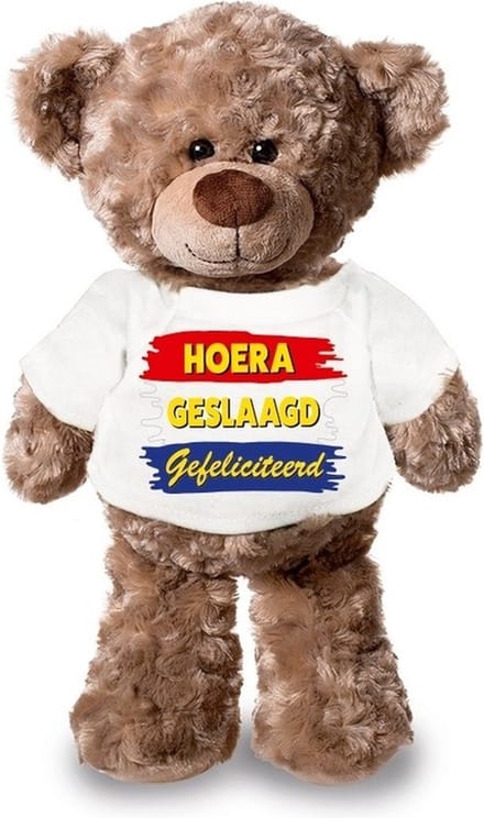 Knuffel teddybeer - geslaagd - 24 cm - pluche - met shirt - eindexamen - afstuderen