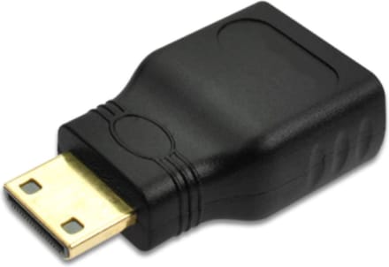Mini HDMI naar HDMI connector male-female / HaverCo