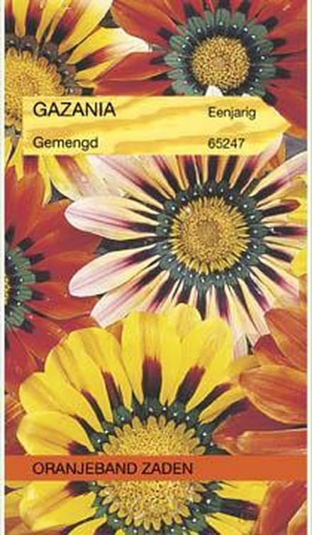 Gazania, Middaggoud gemengd