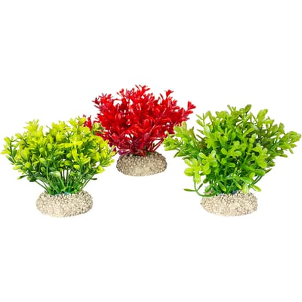 Aquarium planten decoratie Aqua Della Glosso