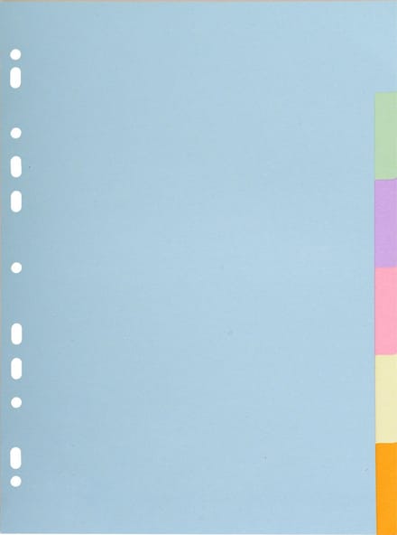 Exacompta 50x Tabbladen gerecycleerd karton 170g - 6 tabs - A4 - Geassorteerd - 1606E