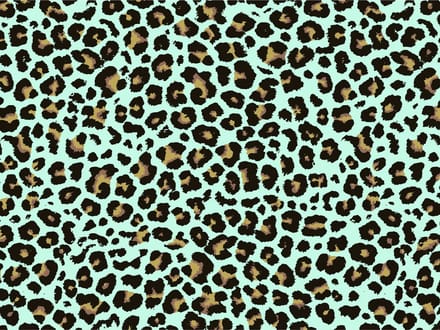 Placemat vinyl | Panter aqua | 4 stuks