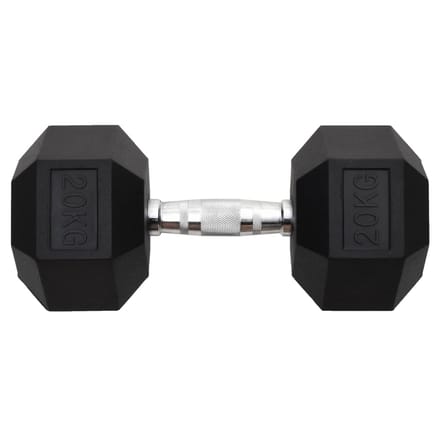 vidaXL - Halters - 20 - kg - gietijzer