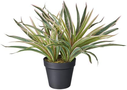 Kunstplant Siergras roze H30cm - HTT Decorations kunstplanten