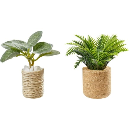 Miniatuurset "Kamerplanten"