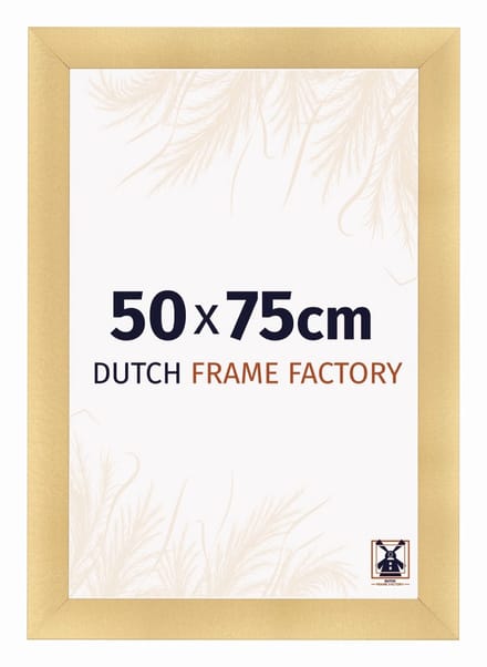 Fotolijst 50x75 cm - MDF - Goud Mat - Praag