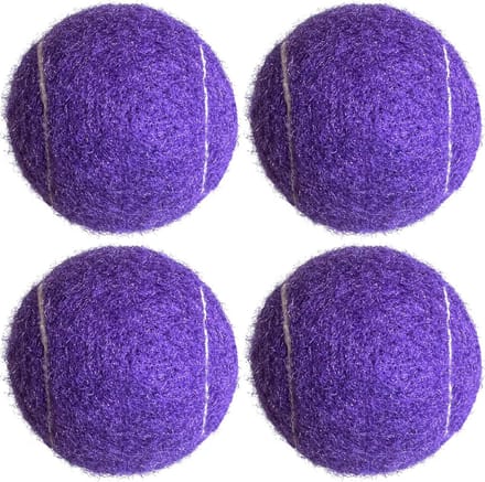 Tennisballen Set voor Beginners Oefenen en Training (4 Stuks)