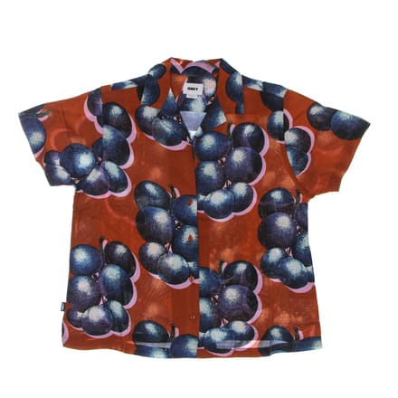 Dames shirt met korte mouwen Blueberries Relaxed shirt Bombay Brown Multi