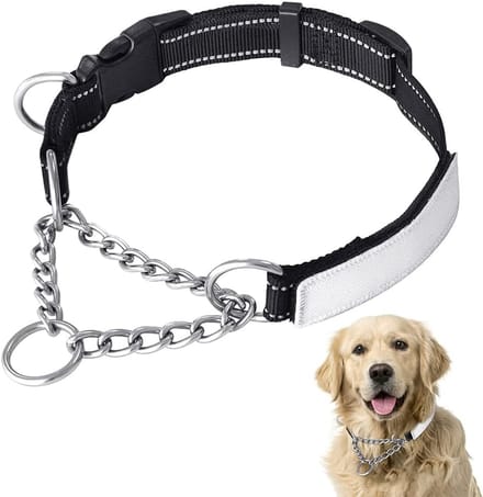 Hondenhalsband Reflecterend Nylon met Naamplaatje - Verstelbare Martingale Trainingshalsband