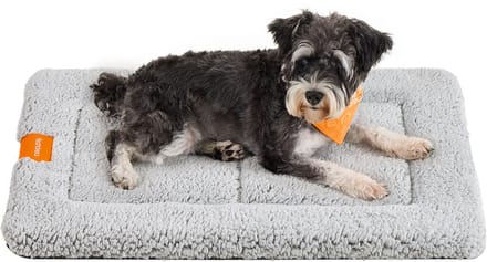 Feandrea - Hondendeken - Voor Honden en Katten - Machinewasbaar - Antislip