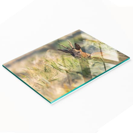 Gehard multifunctioneel decoratief bord van glas met hertenmotief, 80x52 cm