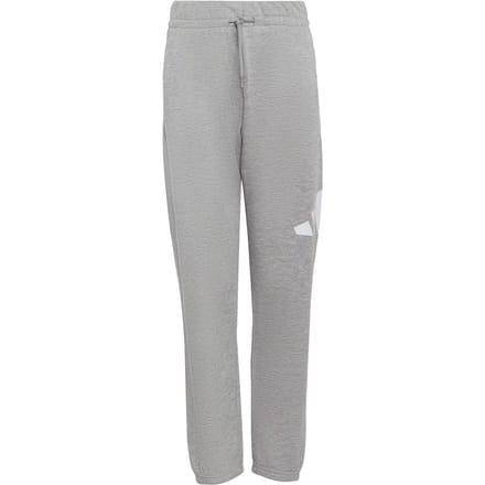 Adidas Essentials Joggers Grijs 11-12 Years Kinderen