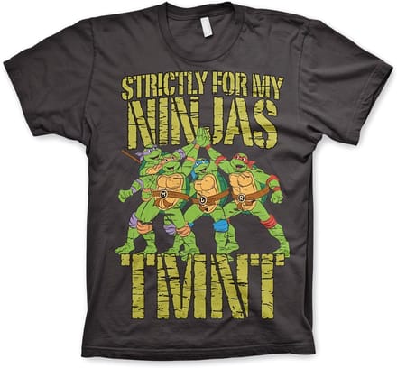 Teenage Mutant Ninja Turtles Heren Tshirt -S- Strictly For My Ninjas Grijs