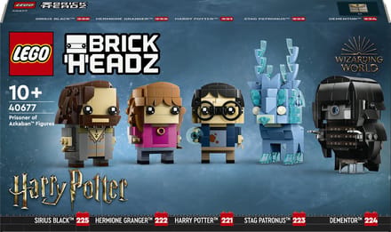 LEGO Harry Potter 40677, Bouwpakket, 10 jaar, Kunststof, 697 stuk(s), 687 g
