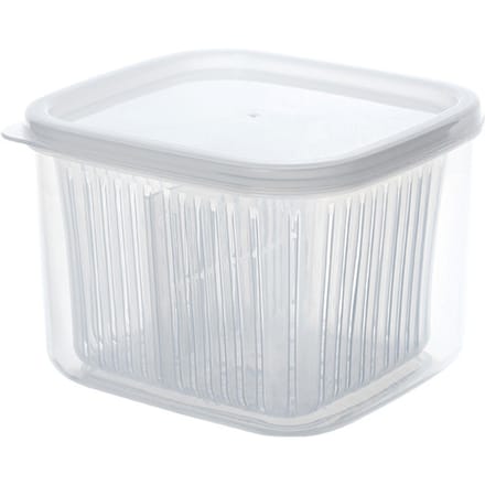 Lente-ui Crisper Afdruipend Verdeeld Multifunctioneel Plastic Lente-ui Vershoudcontainer voor transparant