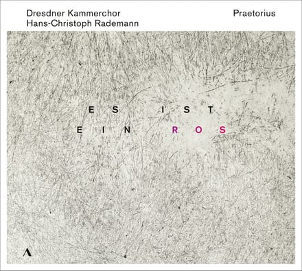 Dresdner Kammerchor, Hans-Christoph Rademann - Praetorius: Es Ist Ein Ros (CD)