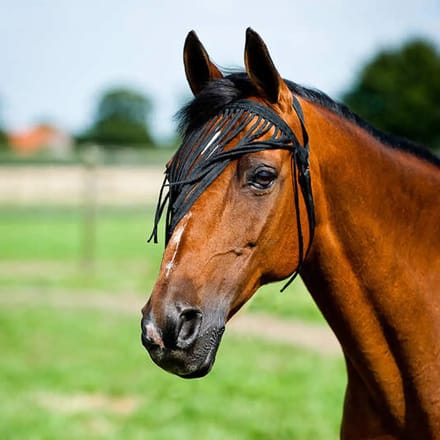Vliegenringen voor paarden Horze simple