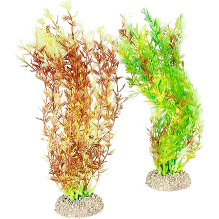Aquarium planten decoratie Aqua Della Egeria Densa M