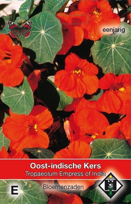 2 stuks Van Hemert & Co Tropaeolum m.n. Empress of India