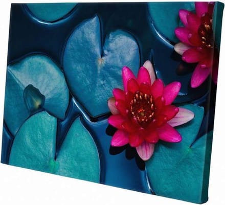 Waterlelie  | 60 x 40 CM | Natuur |Schilderij | Canvasdoek | Schilderij op canvas