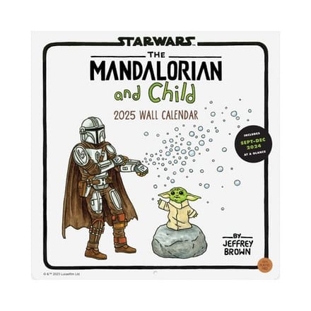 Star Wars The Mandalorian And Child 2025 Wall Calendar - Brown, Jeffrey
