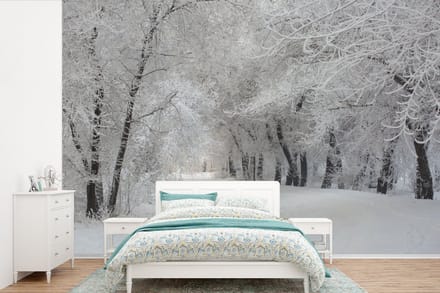 Behang - Fotobehang Bomen - Sneeuw - Winter - Breedte 525 cm x hoogte 350 cm