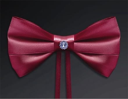 Partydeco - Strik rood steentje (4st)